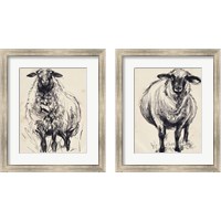 Framed Charcoal Sheep 2 Piece Framed Art Print Set