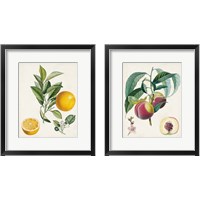 Framed 'Vintage Fruit 2 Piece Framed Art Print Set' border=