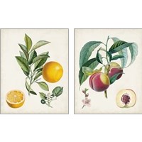 Framed 'Vintage Fruit 2 Piece Art Print Set' border=