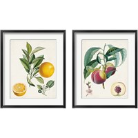 Framed Vintage Fruit 2 Piece Framed Art Print Set