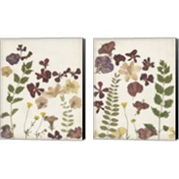 Framed 'Pressed Flower Arrangement 2 Piece Canvas Print Set' border=
