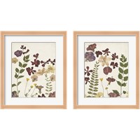 Framed 'Pressed Flower Arrangement 2 Piece Framed Art Print Set' border=