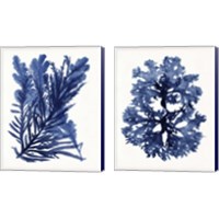 Framed 'Indigo Ocean 2 Piece Canvas Print Set' border=