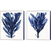 Framed 'Indigo Ocean 2 Piece Canvas Print Set' border=