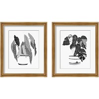 Framed B&W Indoor Plant 2 Piece Framed Art Print Set