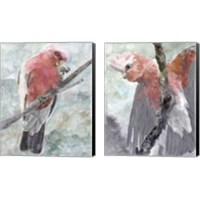 Framed 'Tropic Parrot 2 Piece Canvas Print Set' border=
