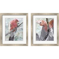 Framed Tropic Parrot 2 Piece Framed Art Print Set