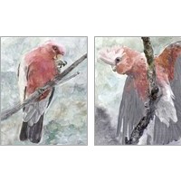 Framed 'Tropic Parrot 2 Piece Art Print Set' border=