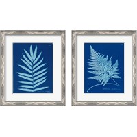 Framed 'Cyanotype Ferns 2 Piece Framed Art Print Set' border=