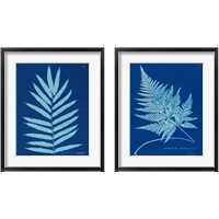 Framed 'Cyanotype Ferns 2 Piece Framed Art Print Set' border=