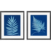 Framed 'Cyanotype Ferns 2 Piece Framed Art Print Set' border=