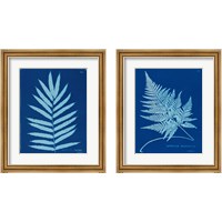 Framed Cyanotype Ferns 2 Piece Framed Art Print Set