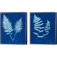 Framed Cyanotype Ferns 2 Piece Canvas Print Set