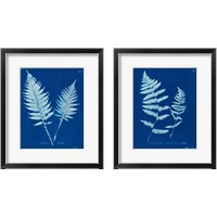 Framed 'Cyanotype Ferns 2 Piece Framed Art Print Set' border=