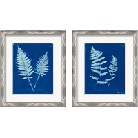 Framed Cyanotype Ferns 2 Piece Framed Art Print Set