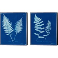 Framed 'Cyanotype Ferns 2 Piece Canvas Print Set' border=