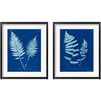 Framed 'Cyanotype Ferns 2 Piece Framed Art Print Set' border=