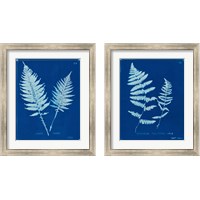 Framed Cyanotype Ferns 2 Piece Framed Art Print Set