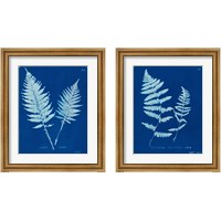 Framed Cyanotype Ferns 2 Piece Framed Art Print Set