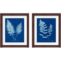 Framed 'Cyanotype Ferns 2 Piece Framed Art Print Set' border=