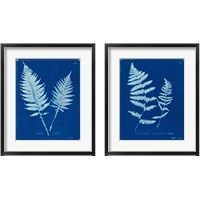 Framed 'Cyanotype Ferns 2 Piece Framed Art Print Set' border=