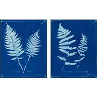 Framed 'Cyanotype Ferns 2 Piece Art Print Set' border=