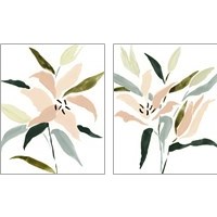 Framed Lily Abstracted 2 Piece Art Print Set