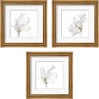 Framed Cool Gray 3 Piece Framed Art Print Set