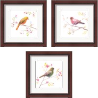 Framed Flight Friends 3 Piece Framed Art Print Set