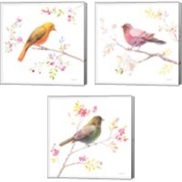 Framed 'Flight Friends 3 Piece Canvas Print Set' border=