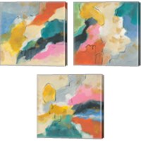 Framed 'Daydream  3 Piece Canvas Print Set' border=