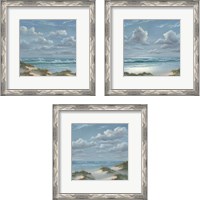 Framed Shoreline  3 Piece Framed Art Print Set