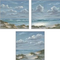 Framed 'Shoreline  3 Piece Art Print Set' border=