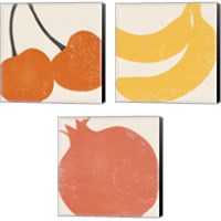 Framed Graphic Fruit  3 Piece Canvas Print Set
