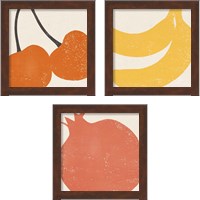 Framed Graphic Fruit  3 Piece Framed Art Print Set
