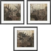Framed 'Gothic Forest Animal 3 Piece Framed Art Print Set' border=