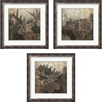 Framed 'Gothic Forest Animal 3 Piece Framed Art Print Set' border=