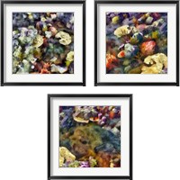 Framed Sea Life 3 Piece Framed Art Print Set