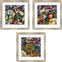 Framed 'Sea Life 3 Piece Framed Art Print Set' border=