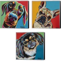 Framed Chroma Dogs 3 Piece Canvas Print Set