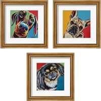 Framed Chroma Dogs 3 Piece Framed Art Print Set