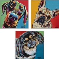 Framed 'Chroma Dogs 3 Piece Art Print Set' border=