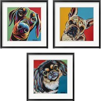 Framed 'Chroma Dogs 3 Piece Framed Art Print Set' border=