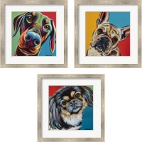 Framed Chroma Dogs 3 Piece Framed Art Print Set