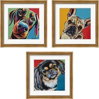 Framed 'Chroma Dogs 3 Piece Framed Art Print Set' border=