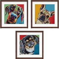 Framed 'Chroma Dogs 3 Piece Framed Art Print Set' border=