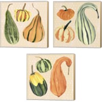 Framed 'Decorative Gourd 3 Piece Canvas Print Set' border=