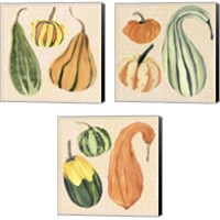 Framed 'Decorative Gourd 3 Piece Canvas Print Set' border=