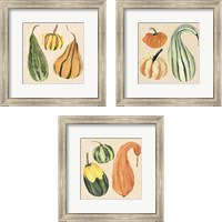 Framed 'Decorative Gourd 3 Piece Framed Art Print Set' border=