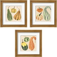 Framed 'Decorative Gourd 3 Piece Framed Art Print Set' border=